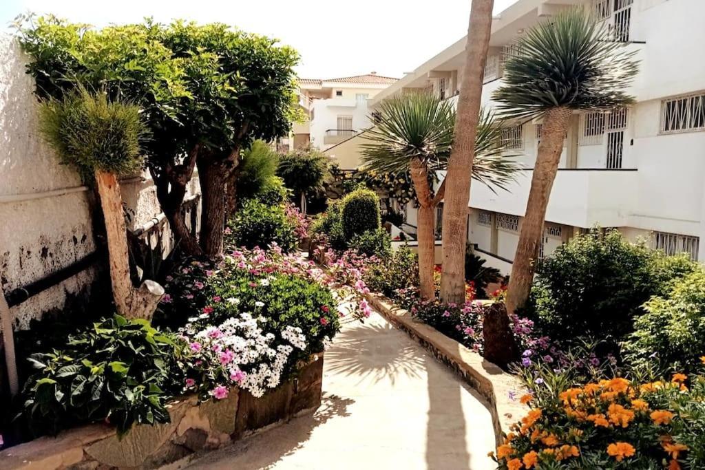 Apartment With Large Terrace, 10 Meters From Playa De Las Burras San Bartolomé Ngoại thất bức ảnh